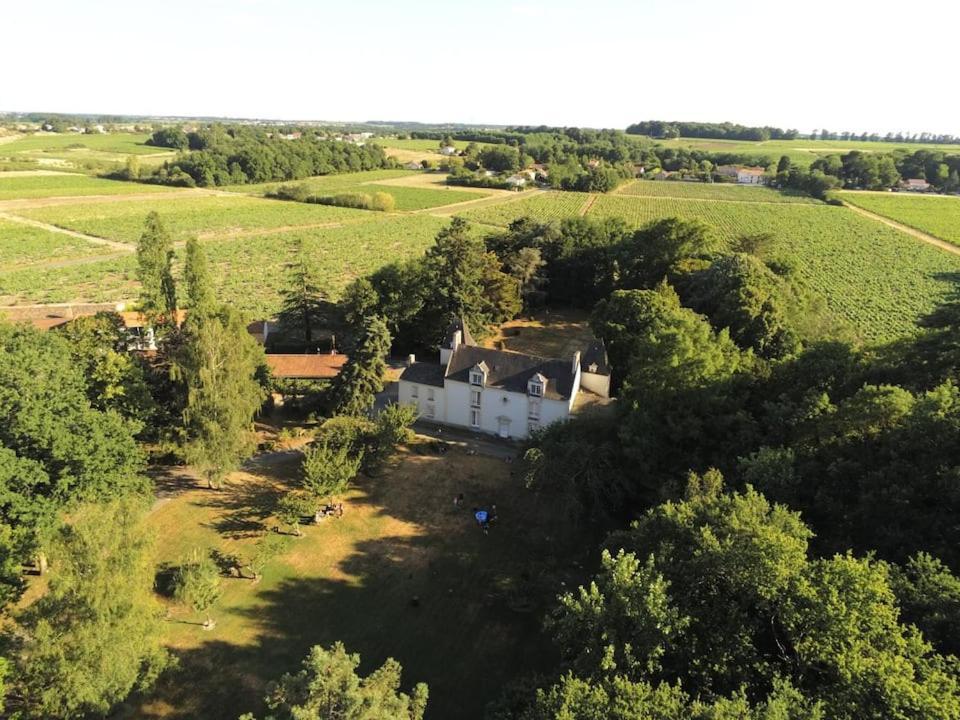 Du Vignoble A L'Atlantique - Chateau Cassemichere Gite Hotel La Chapelle-Heulin Exterior photo